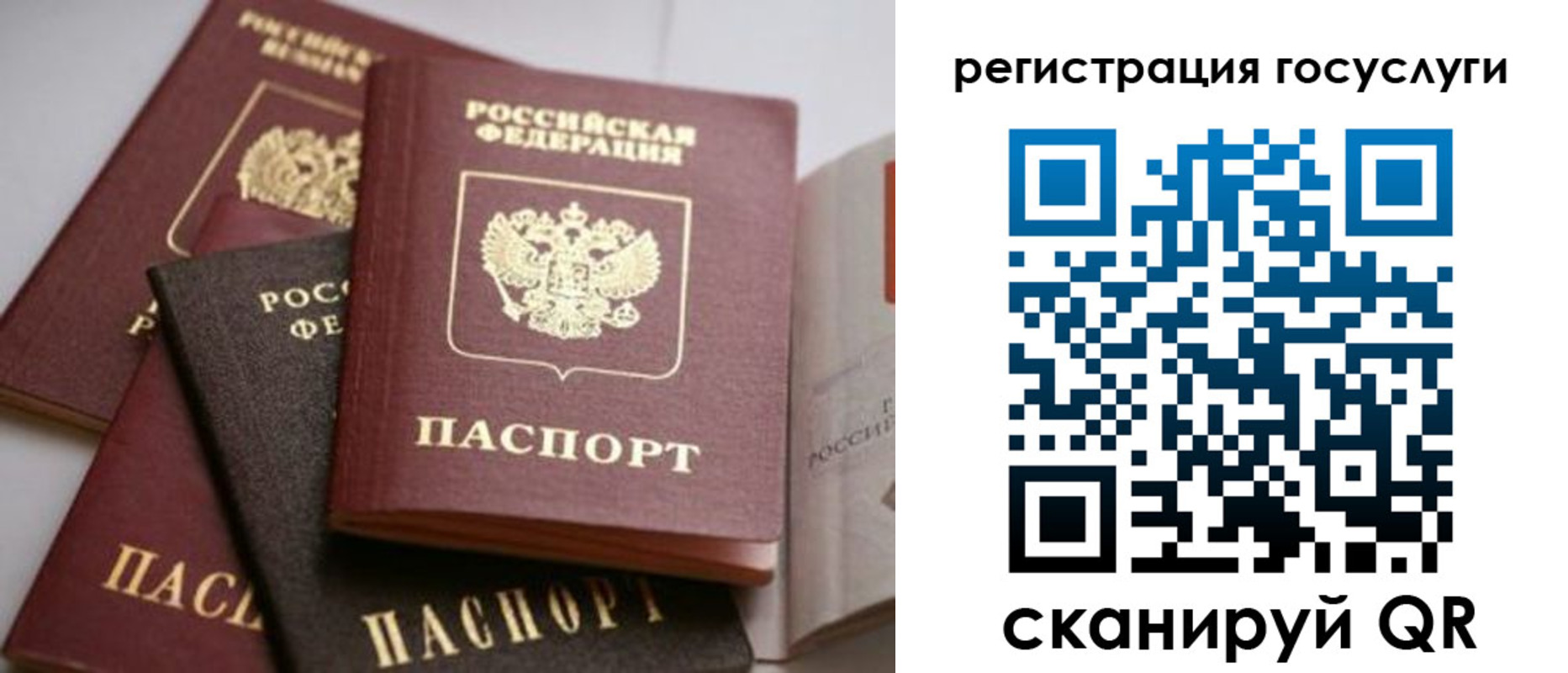 пропишу в квартире в Борзе